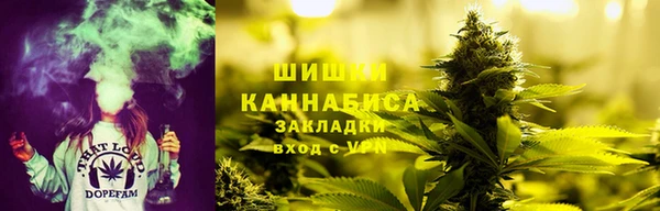 шишки Балахна
