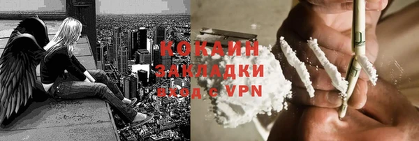 шишки Балахна
