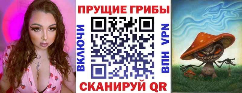 kraken зеркало  Зима  Галлюциногенные грибы GOLDEN TEACHER 
